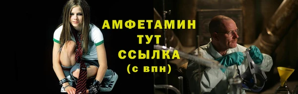 мет Алексин