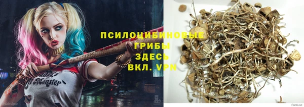 герыч Алзамай