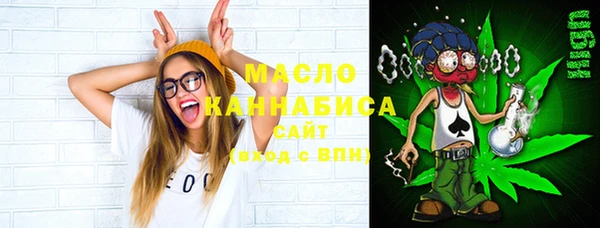 мет Алексин